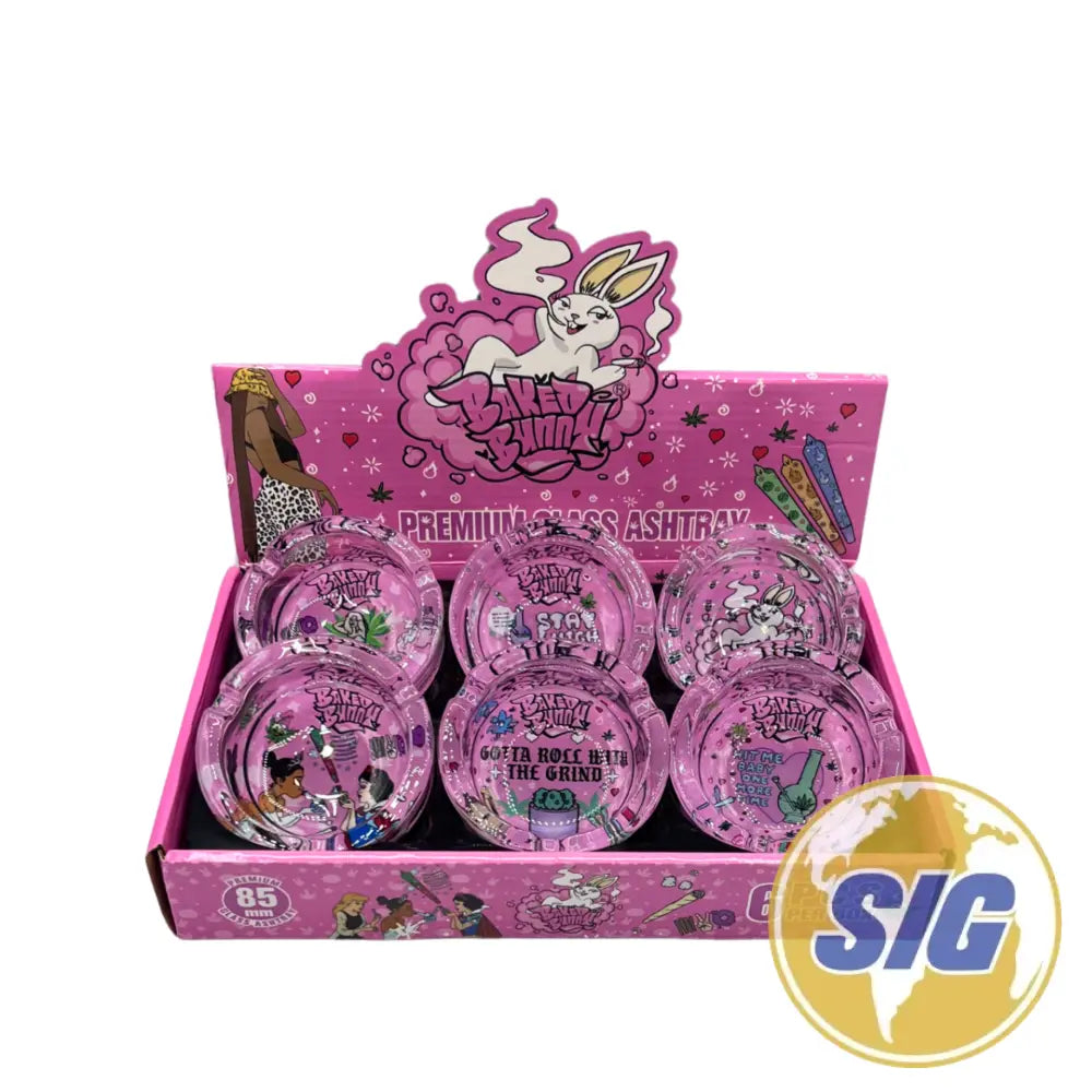 Glow in The Dark Ashtray Display 6 CT